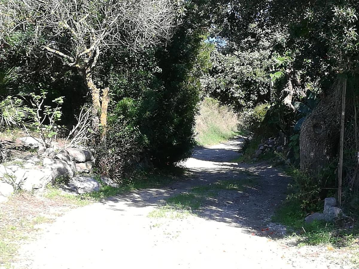 L'Oasi Villa SantʼAntìoco Dış mekan fotoğraf