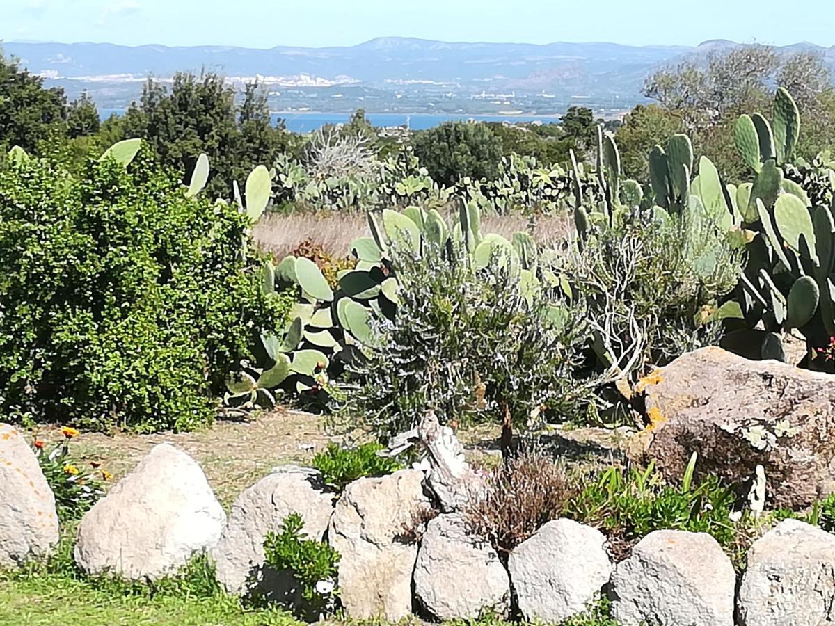 L'Oasi Villa SantʼAntìoco Dış mekan fotoğraf