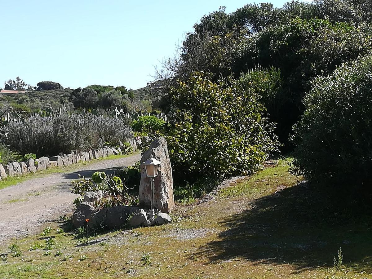 L'Oasi Villa SantʼAntìoco Dış mekan fotoğraf