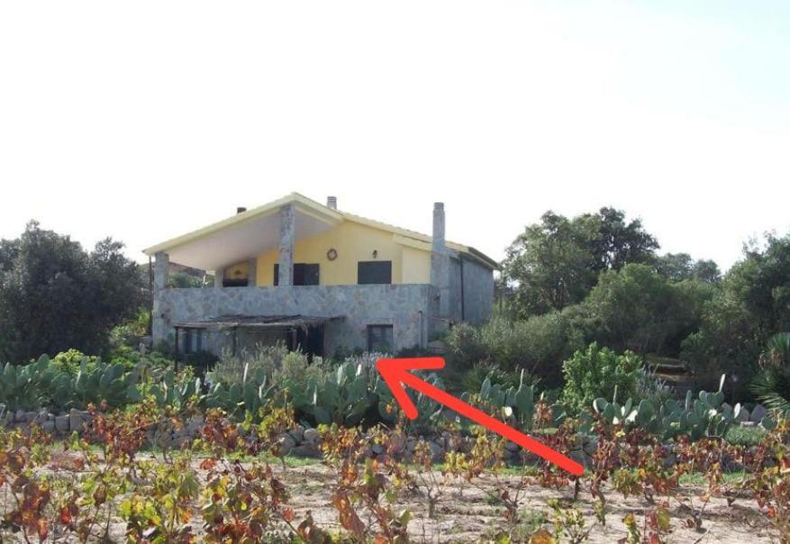 L'Oasi Villa SantʼAntìoco Dış mekan fotoğraf